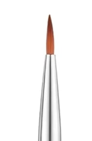 Nail Art Brush