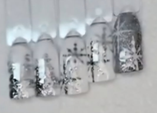 💫 Sale💫 Winter Nail Art Workshop